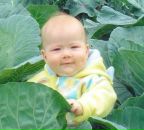 Іван Фіцяк фотография #18 (источник - https://vk.com/id33281513)