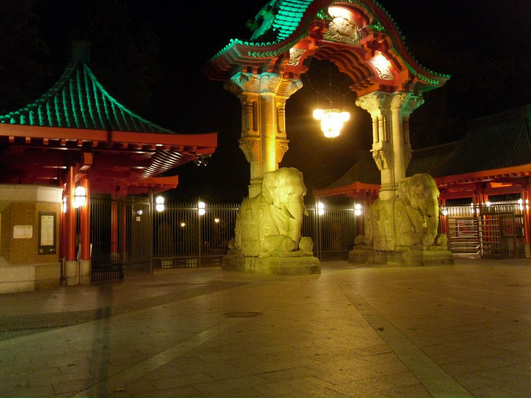 Бьёрн Регер фотография #38