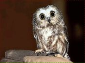 Фотография Антроповой Юлии