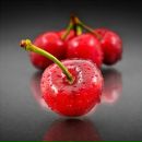 Фотография Ширяевой Александры