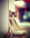 Фотография Грачевой Дарьи