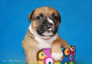 Фотография Виноградов Кирилл