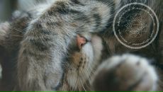 Фотография Наконечной Людмилы