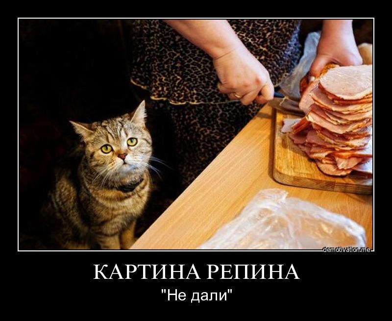 Иван Горбунов фотография #40