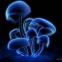 Іван Ваніцкий фотография #1