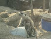 Клевый Парень фотография #46 (источник - https://vk.com/id391001)