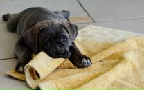 Танюша Роїк фотография #7 (источник - https://vk.com/id75554758)