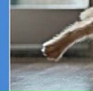 Соломія Лазоришин фотография #39 (источник - https://vk.com/id23350110)