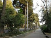 Aishe Bar фотография #12 (источник - https://vk.com/id2918442)