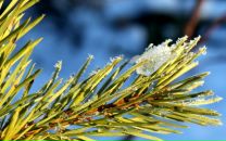 Фотография Медведевой Татьяны