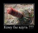 Коля Парфір'эв фотография #21 (источник - https://vk.com/id83916659)