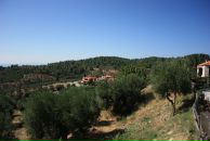 Сергей Толмачёв фотография #49 (источник - https://vk.com/id98358)