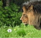 Фотография Пестрикова Сергея