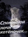 Віка Безкровна фотография #20 (источник - https://vk.com/id122438488)