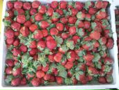 Маряна Ганишин фотография #9 (источник - https://vk.com/id11897291)