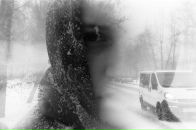 Фотография Колесниковой Кристины