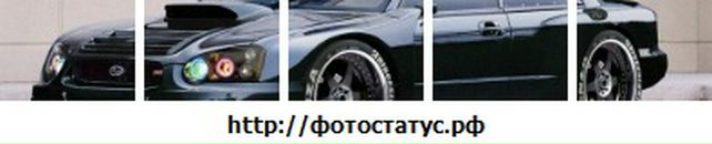 Вітя Польовий фотография #45 (источник - https://vk.com/id68079959)