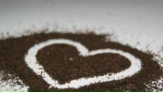 Фотография Чувашова Андрея