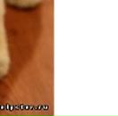 Разбитое Сердце фотография #1