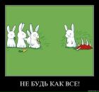 Фотография Корнеевой Марии