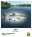 Андрій Кирилич фотография #20 (источник - https://vk.com/id72602419)