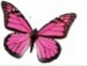 Анархистка Киш фотография #26 (источник - https://vk.com/id122052290)