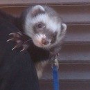 Фотография Смирнова Андрея