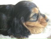 Фотография Комаровой Натальи