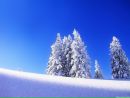Фотография Чендулаевой Ольги