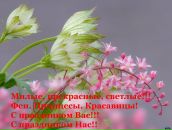 Фотография Лаврентьевой Анастасии