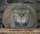 Олічка Ткачик фотография #32 (источник - https://vk.com/id151279460)