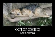 Міша Божан фотография #43 (источник - https://vk.com/id31850740)