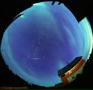 Фотография Чечкенёвой Наташи