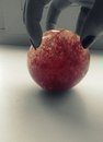Іра Омелянчук фотография #8 (источник - https://vk.com/id61366631)