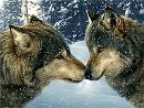 Іван Безмощук фотография #25 (источник - https://vk.com/id77739446)