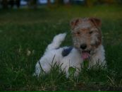 Тетяна Єськова фотография #29 (источник - https://vk.com/id2347817)