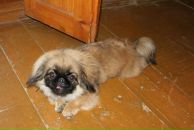 Фотография Кюсснер Анастасии