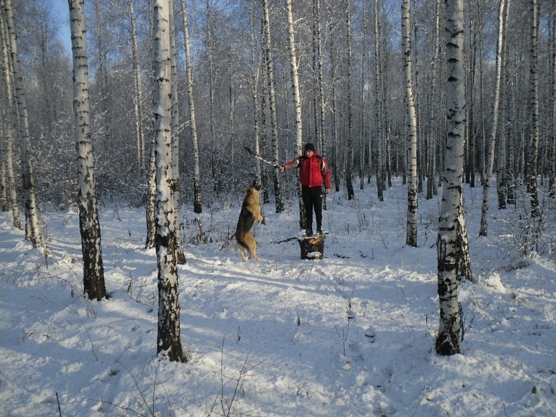 Сергей Кайданюк фотография #34