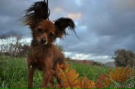 Фотография Суровой Елены