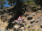 Леонид Крот фотография #17 (источник - https://vk.com/id36617)