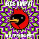 Фотография Муравьеды Агонии