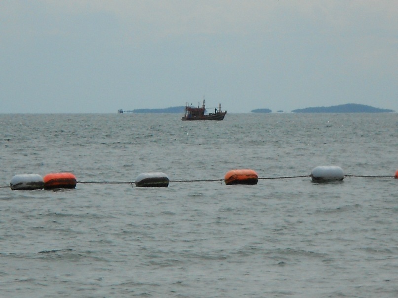 Дмитрий Мелехов фотография #26