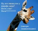 Фотография Громовой Дианы