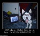 Сергей Лях фотография #17 (источник - https://vk.com/id14270446)