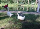 Саша Андриєнко фотография #33 (источник - https://vk.com/id80958695)