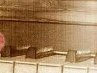 Іван Галіцький фотография #22 (источник - https://vk.com/id96018952)