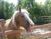 Фотография Лучаниновой Виктории