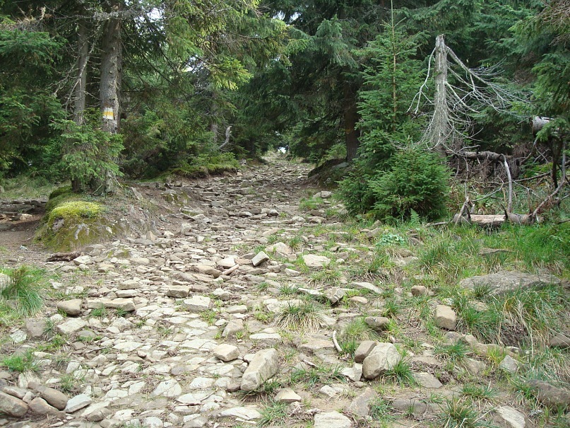 Емма Ковбашин фотография #36