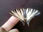 Саша Коломійцев фотография #18 (источник - https://vk.com/id59188612)