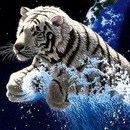 Олексій Лукашук фотография #40 (источник - https://vk.com/id145088019)